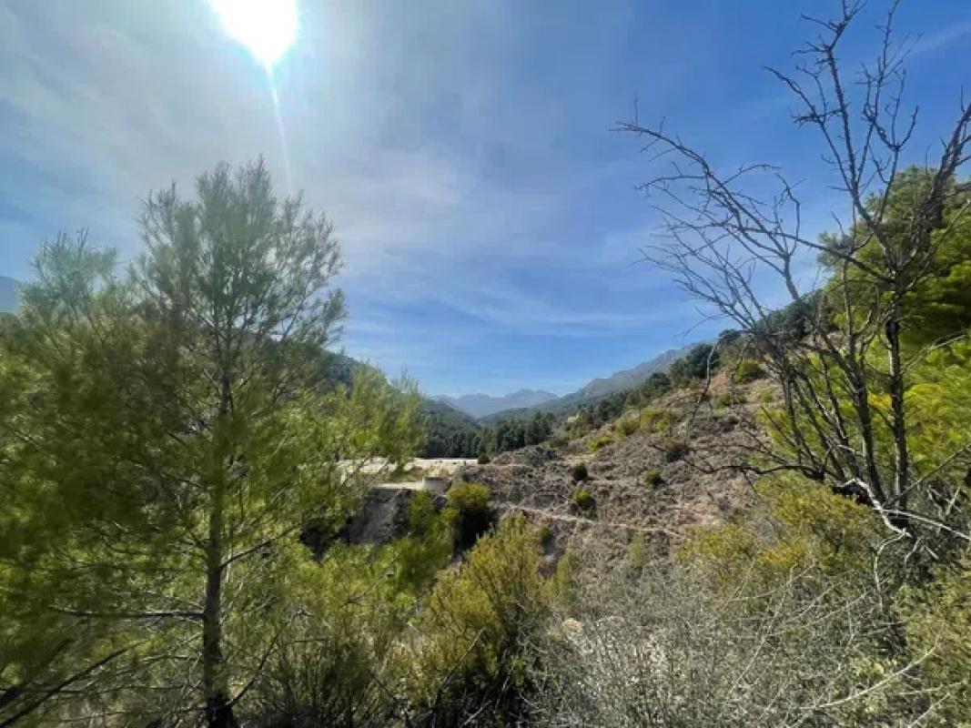 Land for sale in Callosa d'En Sarria, Alicante photo 4