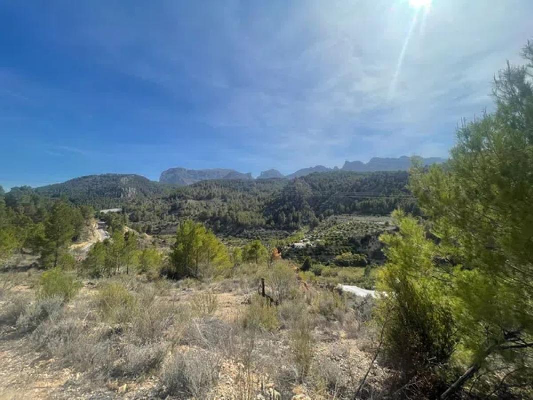 Land for sale in Callosa d'En Sarria, Alicante photo 5