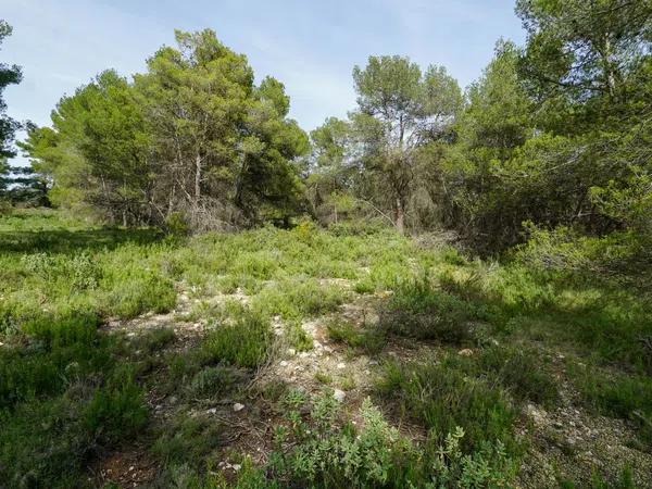 Terreno en juan carlos, 1 photo 4