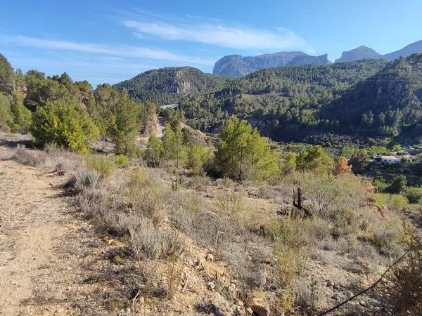 Terreno en Partida Maset, km 2 photo 1