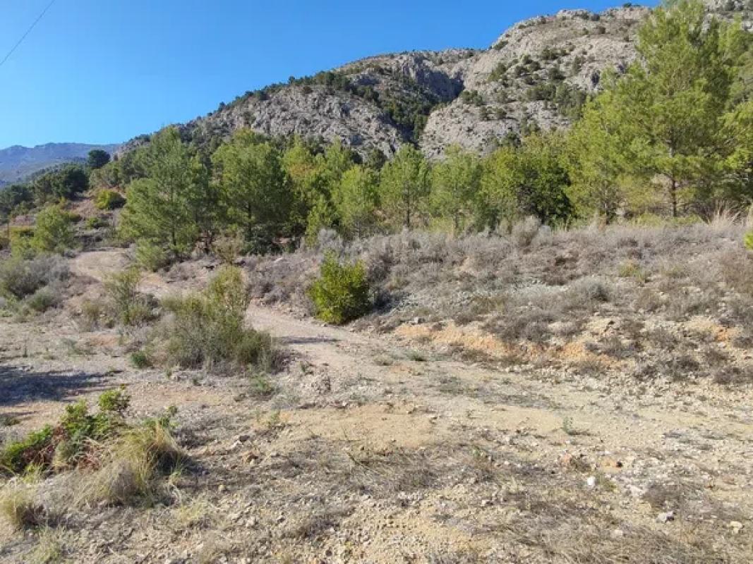 Terreno en venta en Callosa d''En Sarria, Alicante photo 2