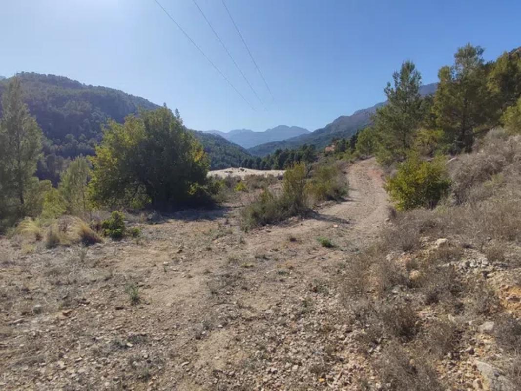 Terreno en venta en Callosa d''En Sarria, Alicante photo 3