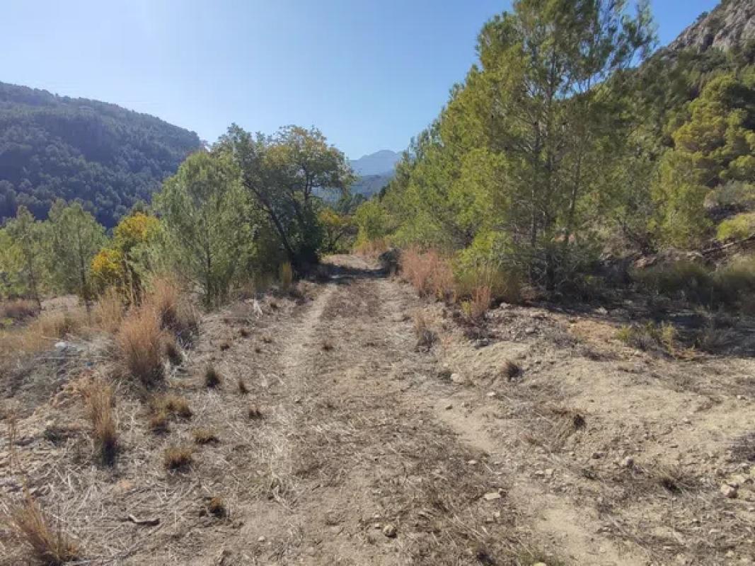 Terreno en venta en Callosa d''En Sarria, Alicante photo 4