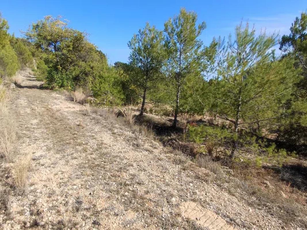 Terreno en venta en Callosa d''En Sarria, Alicante photo 5