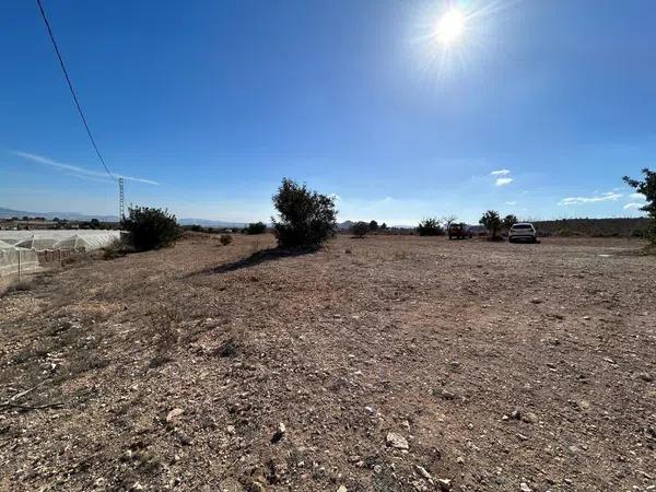 Terreno en Partida Horna Alta photo 3