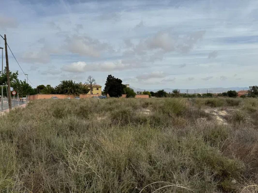 Land for sale in Mutxamel, Alicante photo 5
