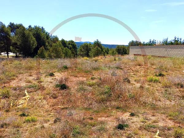 Terreno en calle dels Pins s/n photo 1