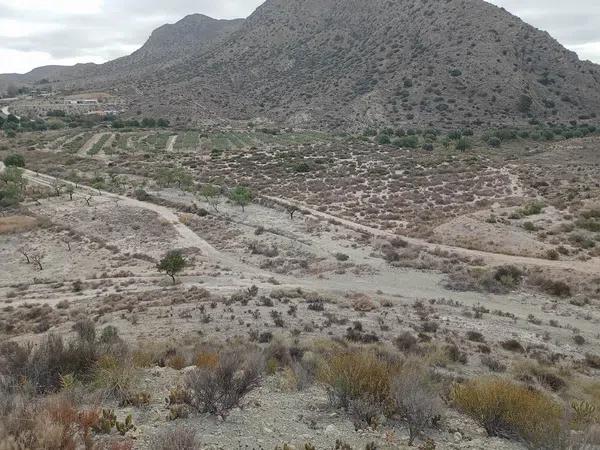 Terreno en La Alcoraya photo 4