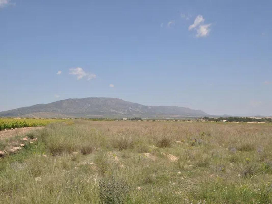 Działka na sprzedaż w Pinoso, Alicante photo 2