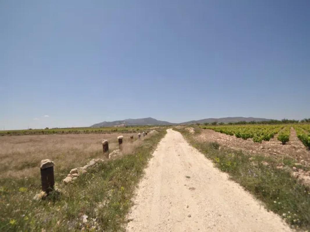 Działka na sprzedaż w Pinoso, Alicante photo 5