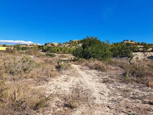 Terreno en Cañada del Fenollar photo 1