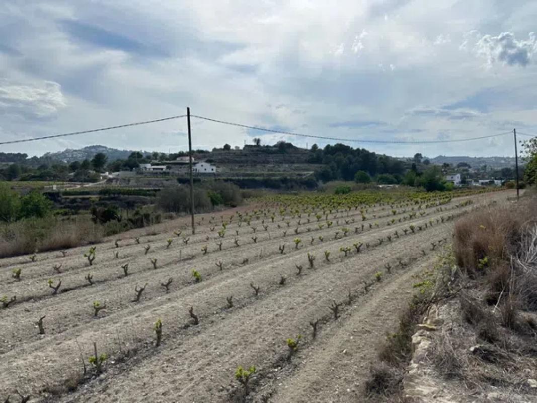 Działka na sprzedaż w Teulada, Alicante photo 4