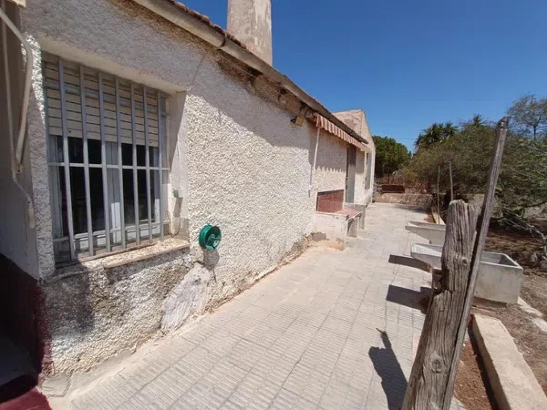 Land for sale in Elche / Elx, Alicante photo 3