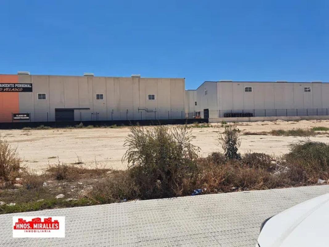 Terreno en venta en Almoradí, Alicante photo 1