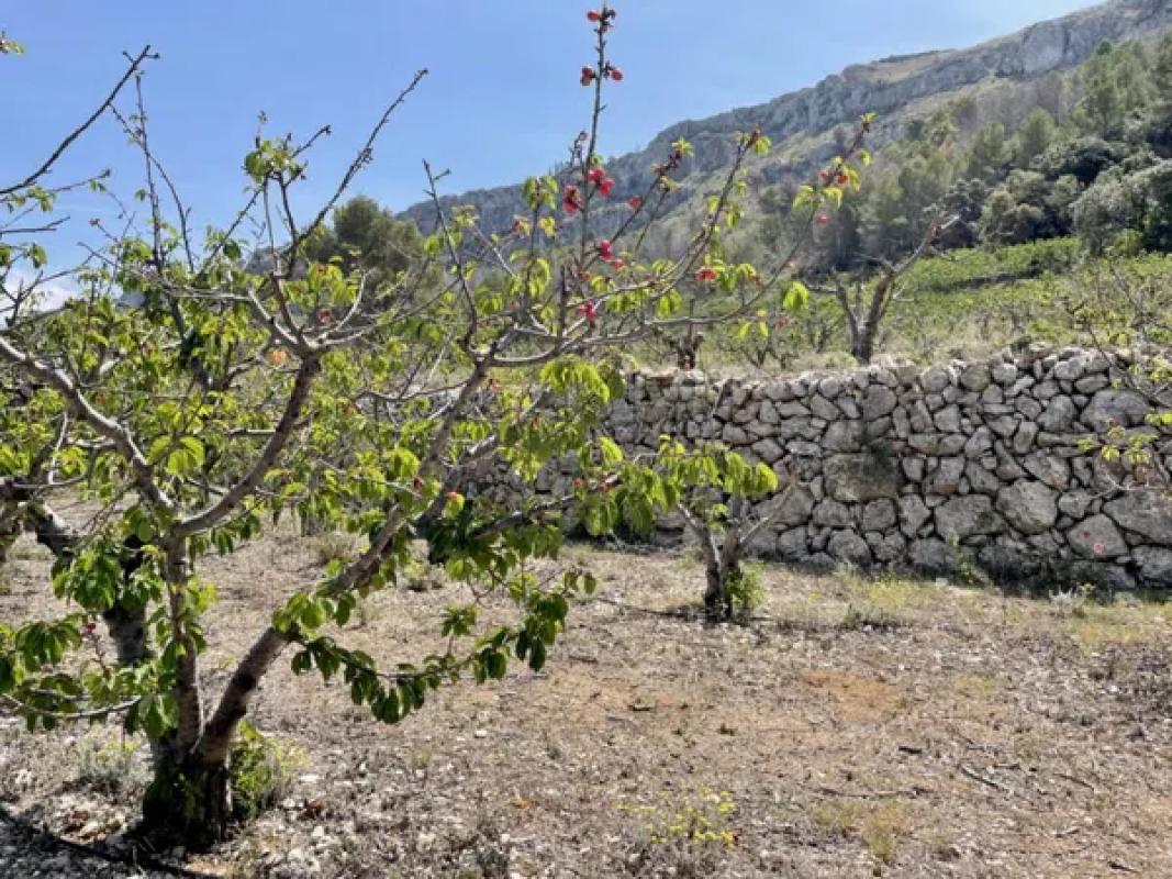 Участок земли на продажу в Валь-де-Гальинера, Аликанте photo 1