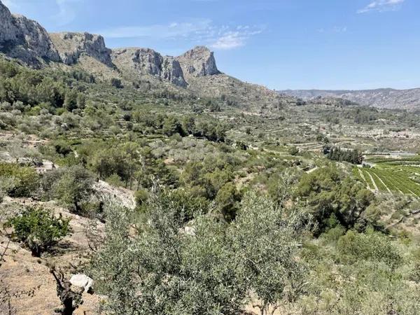 Terreno en Vall de Gallinera photo 2