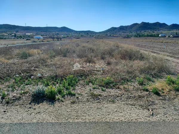 Terreno en Hondón de los Frailes thumbnail 2
