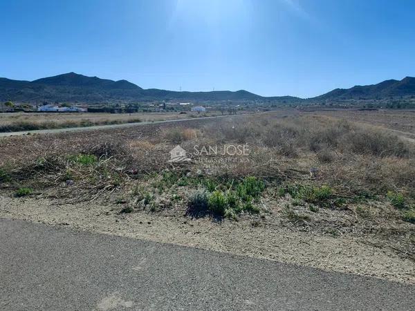 Terreno en Hondón de los Frailes photo 4