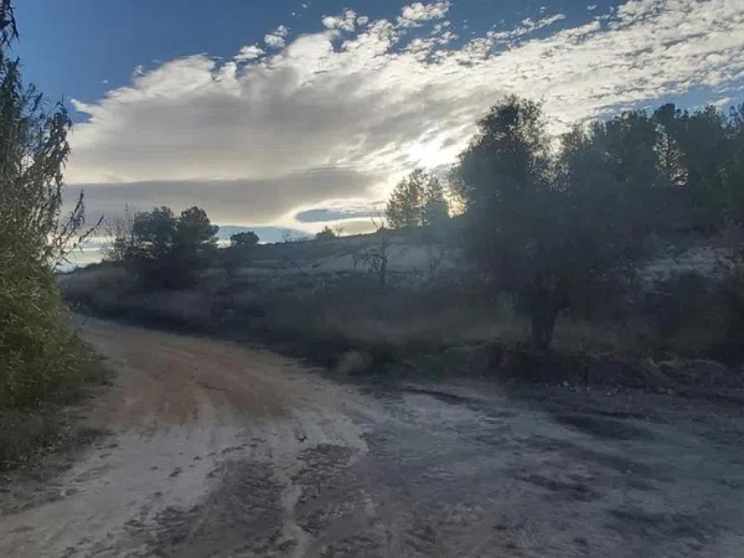 Land for sale in Monovar, Alicante photo 1