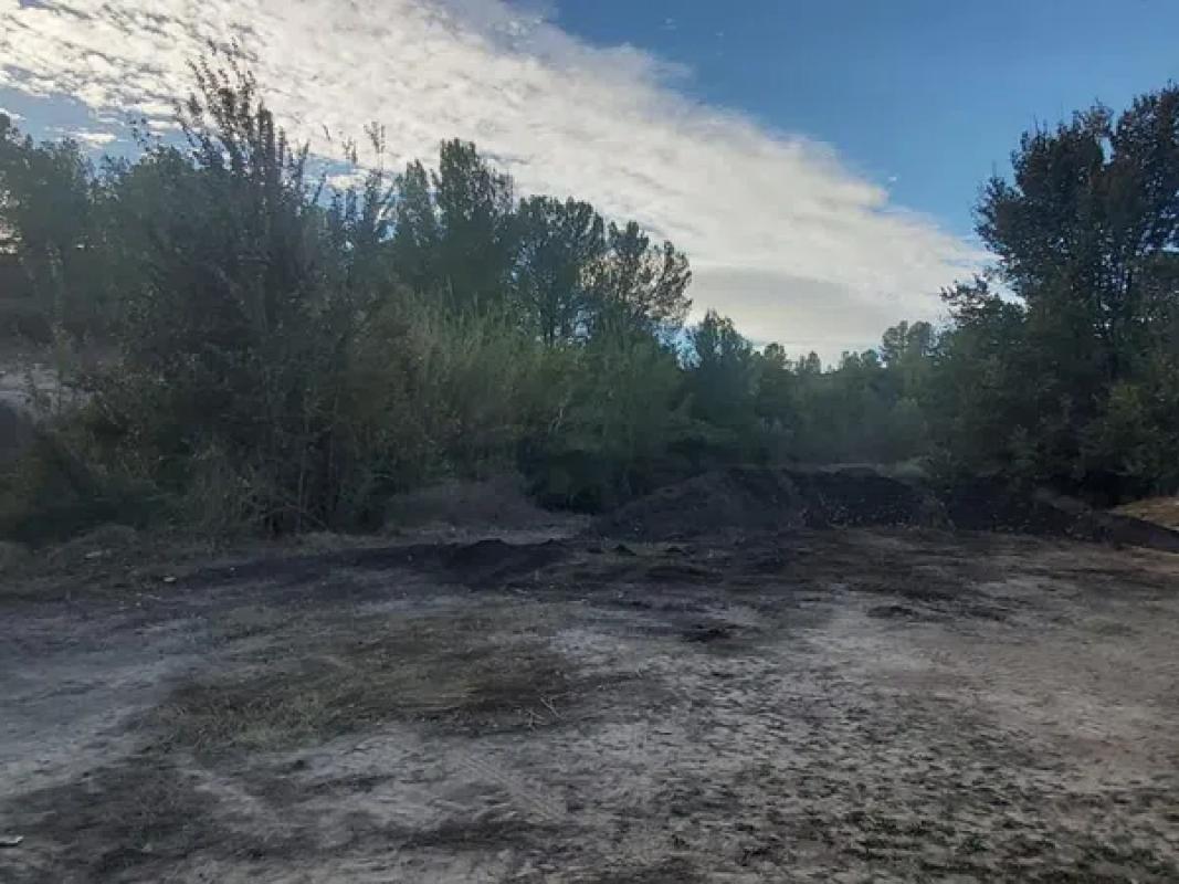 Land for sale in Monovar, Alicante photo 2