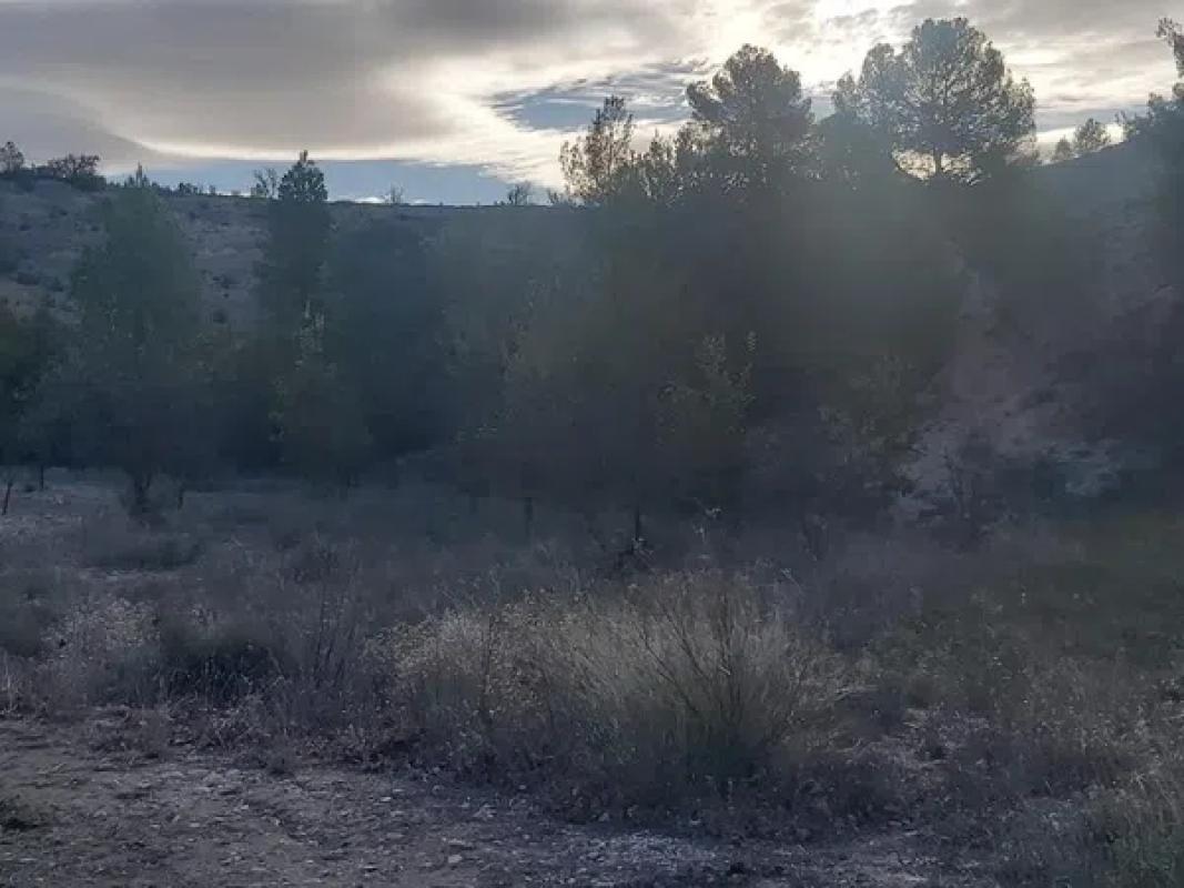 Land for sale in Monovar, Alicante photo 5