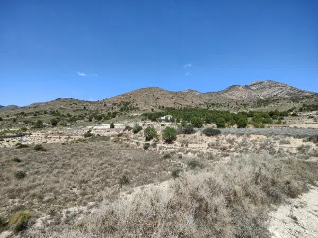 Land for sale in August, Alicante photo 4