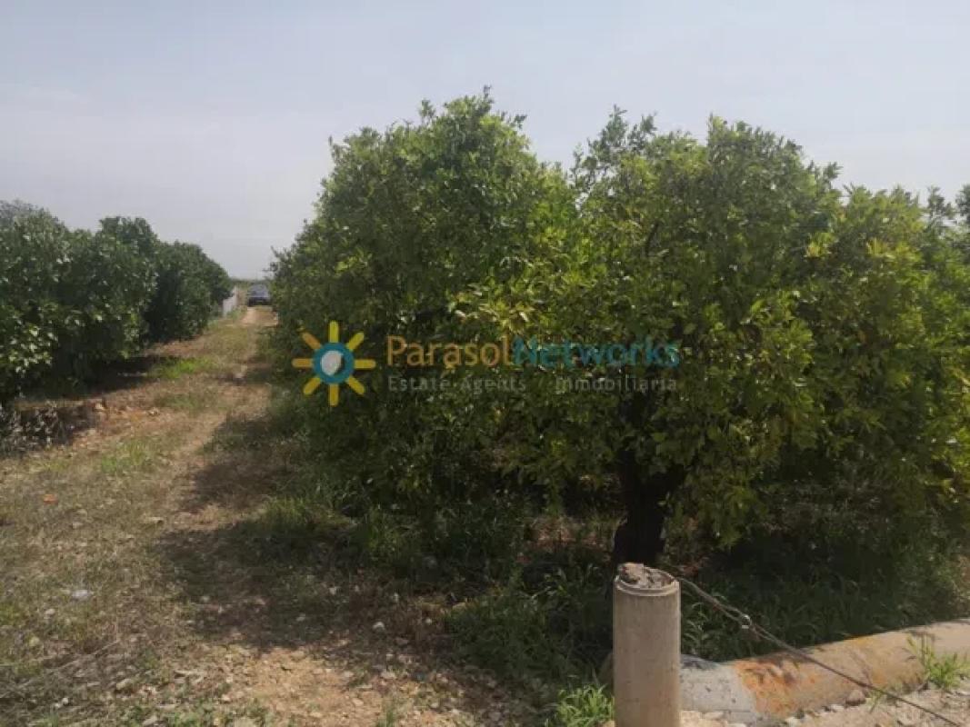 Участок земли на продажу в Пего, Аликанте photo 5