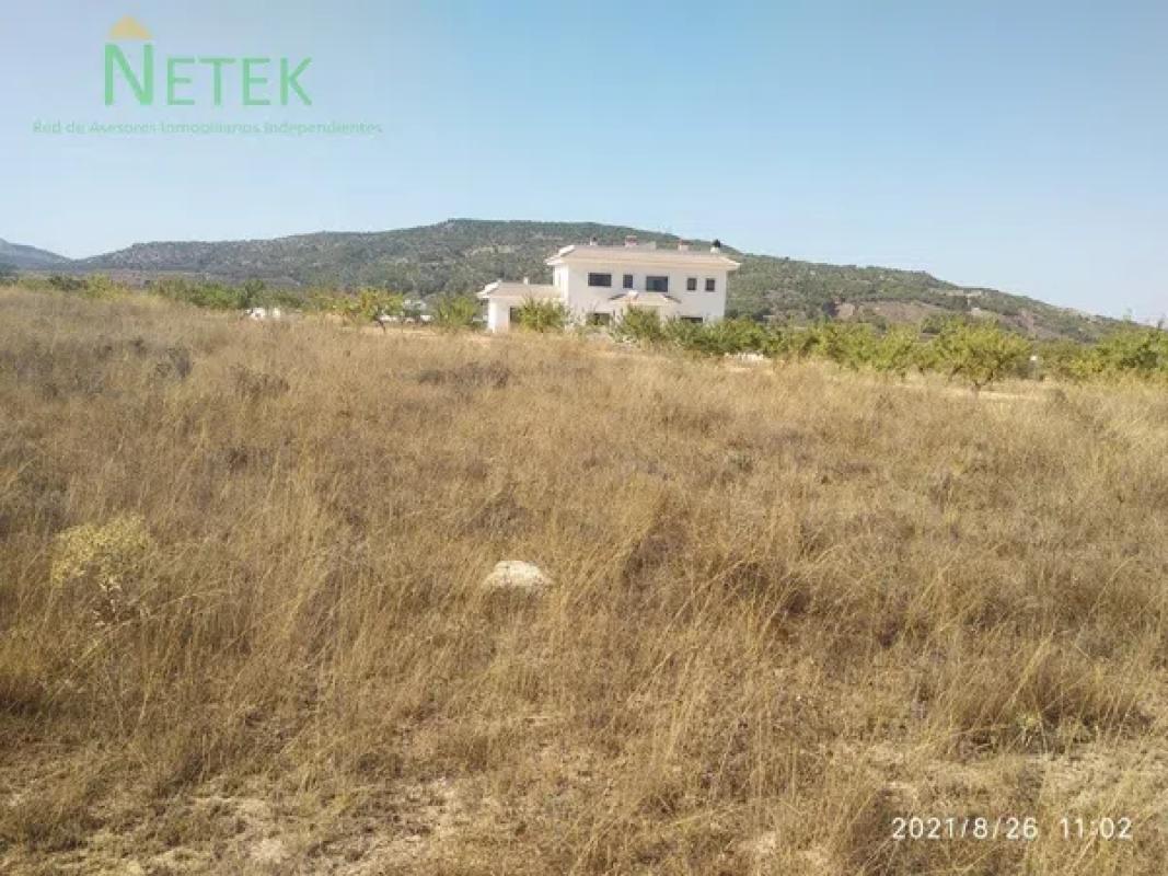 Terreno en venta en Pinoso, Alicante photo 1