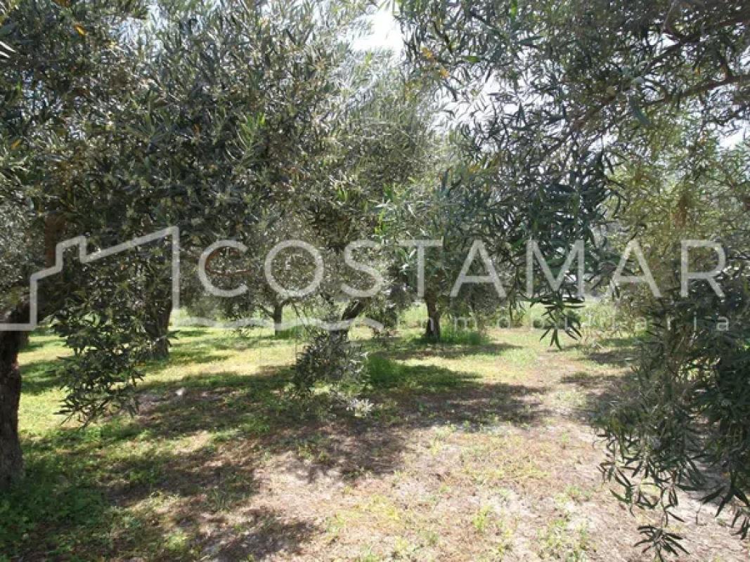 Terreno en venta en El Campello, Alicante photo 3