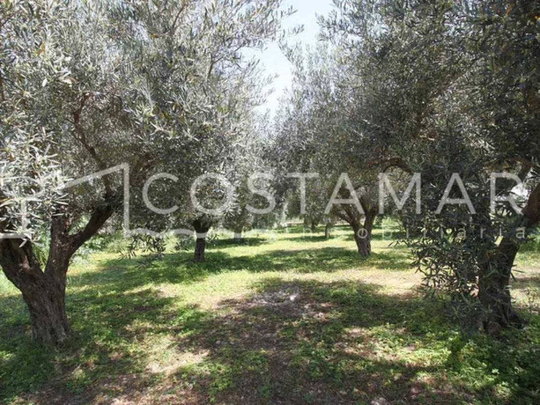 Terreno en venta en El Campello, Alicante photo 4