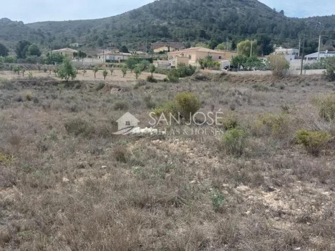 Land for sale in Hondón de los Frailes, Alicante photo 1