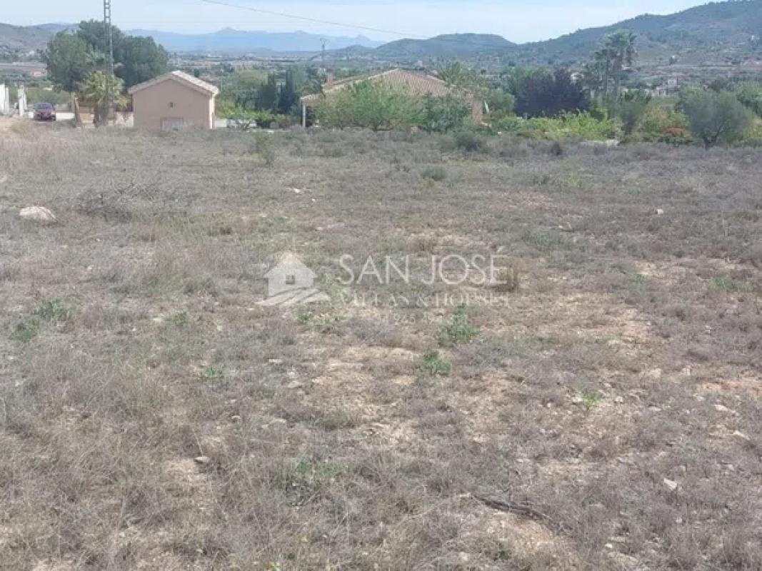 Land for sale in Hondón de los Frailes, Alicante photo 2