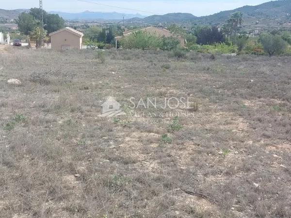 Terreno en Hondón de los Frailes photo 2