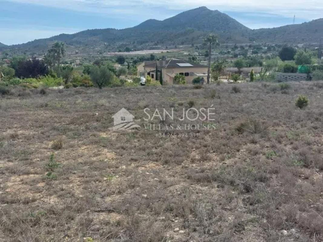 Land for sale in Hondón de los Frailes, Alicante photo 5
