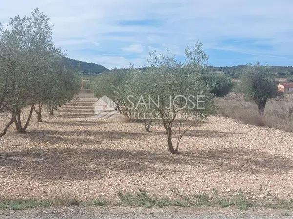 Terreno en Hondón de los Frailes photo 1