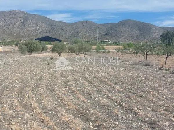 Terreno en Hondón de los Frailes photo 2