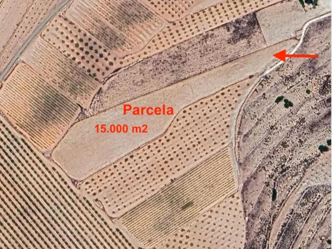 Terreno en venta en Pinoso, Alicante photo 1