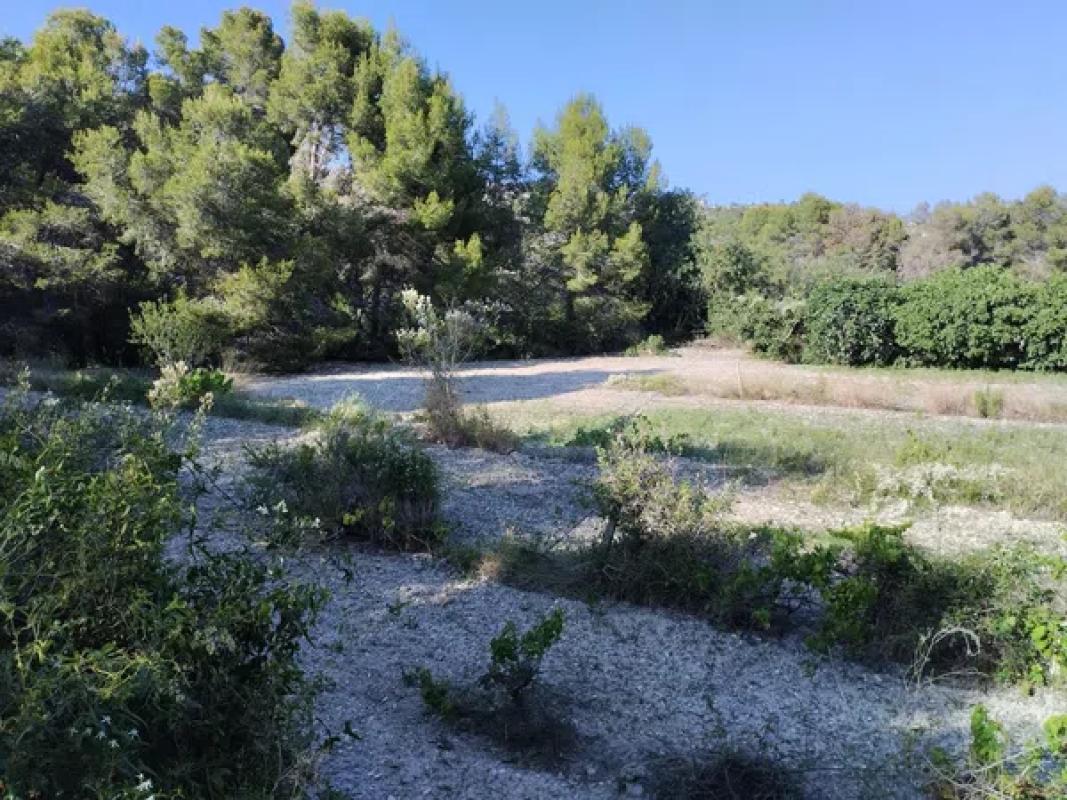 Land for sale in Benissa, Alicante photo 1