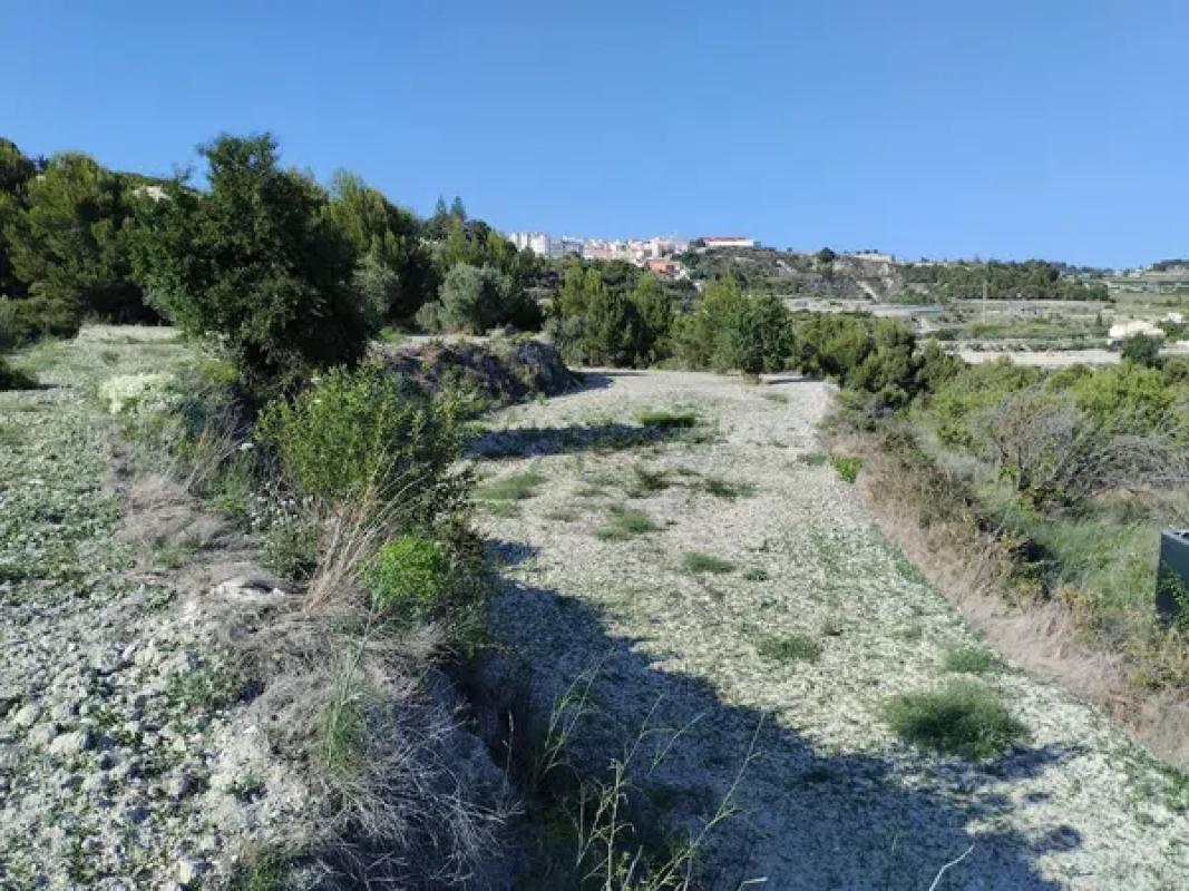 Land for sale in Benissa, Alicante photo 3