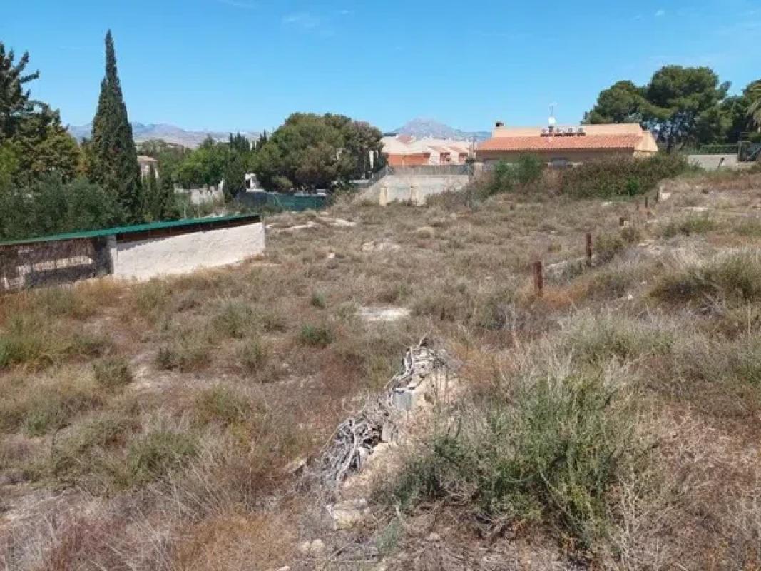 Terreno en venta en Mutxamel, Alicante photo 3