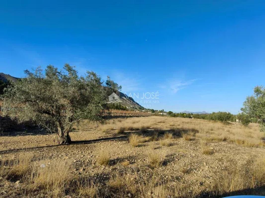 Terreno en venta en Hondón de las Nieves, Alicante photo 2