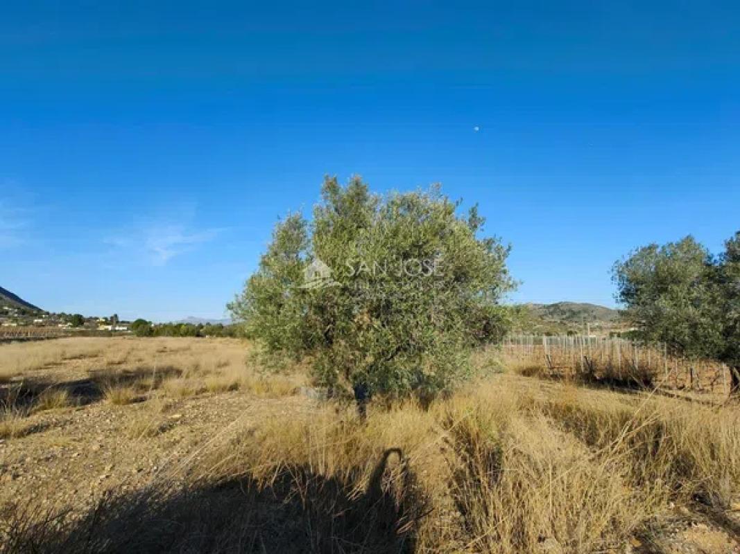 Terreno en venta en Hondón de las Nieves, Alicante photo 3