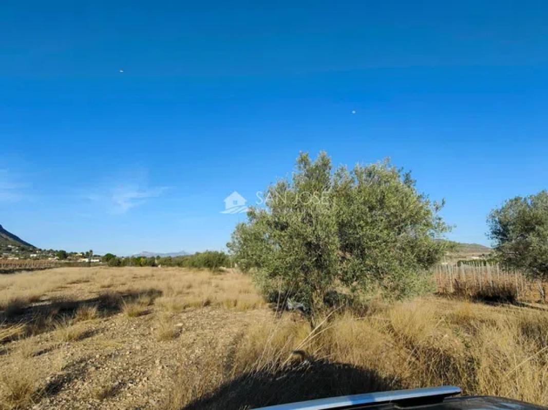 Terreno en venta en Hondón de las Nieves, Alicante photo 4