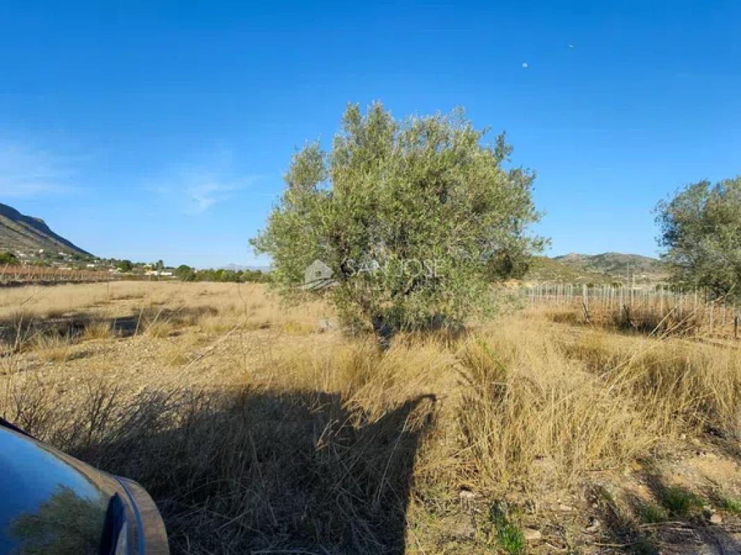 Terreno en venta en Hondón de las Nieves, Alicante photo 5