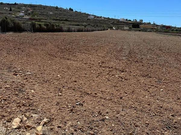 Terreno en camino Abiar Baixa s/n photo 4