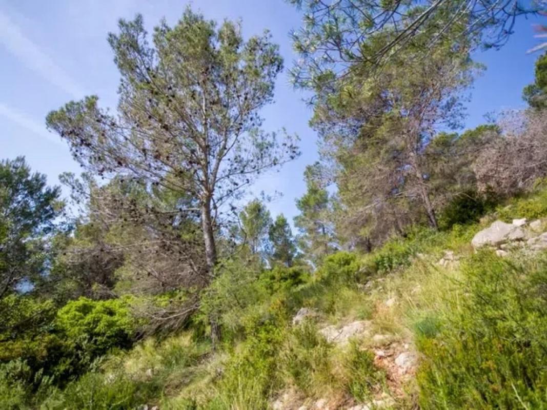 Terreno en venta en Murla, Alicante photo 2