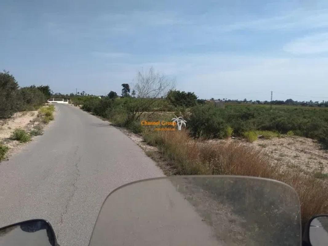 Land for sale in Elche / Elx, Alicante photo 3
