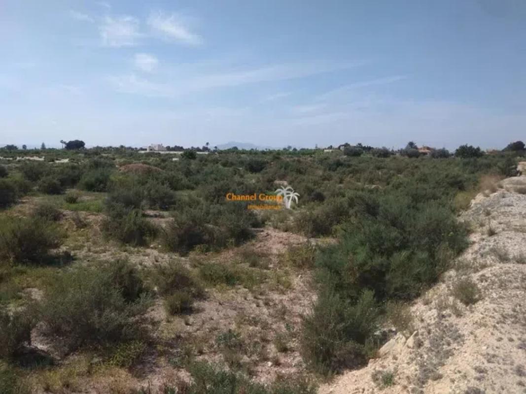 Land for sale in Elche / Elx, Alicante photo 5