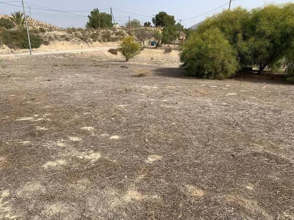 Terreno en Rebolledo photo 3