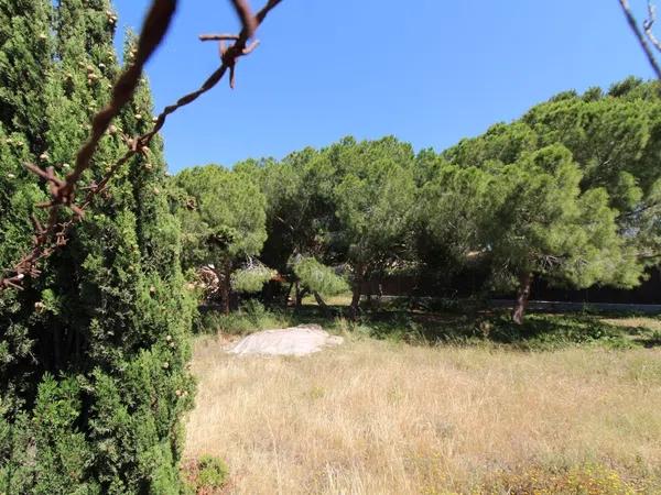 Terreno en Barrio Lomas de Cabo Roig-Los Dolses photo 1